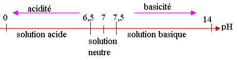 Cours E Les Solutions Acides Et Basiques